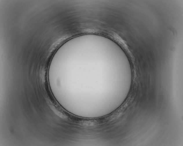 X0000112430106200909111038