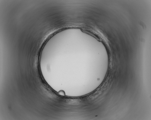 X0000112430107200909111038