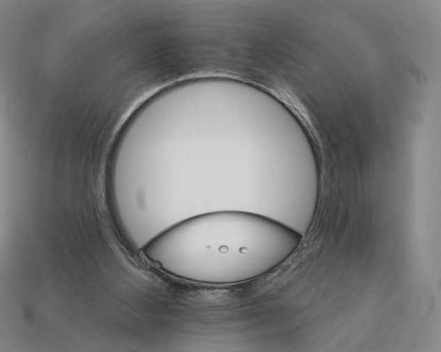 X0000112430108200909111038