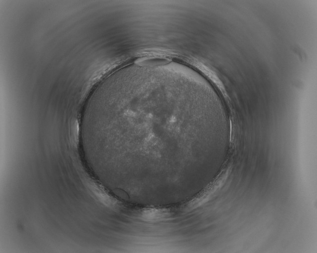 X0000112430109200909111038