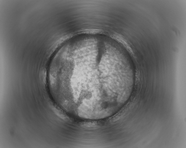 X0000112430110200909111038
