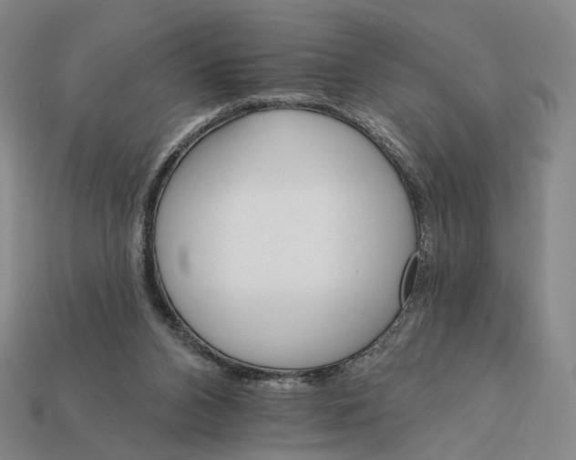 X0000112430112200909111038