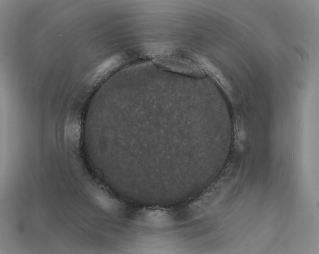 X0000112430113200909111038