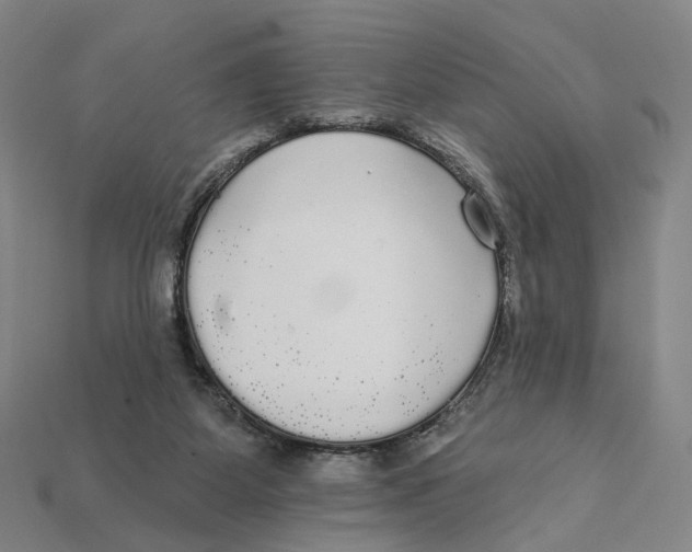 X0000112430115200909111038