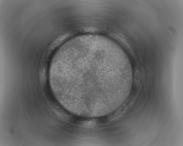 X0000112430116200909111038