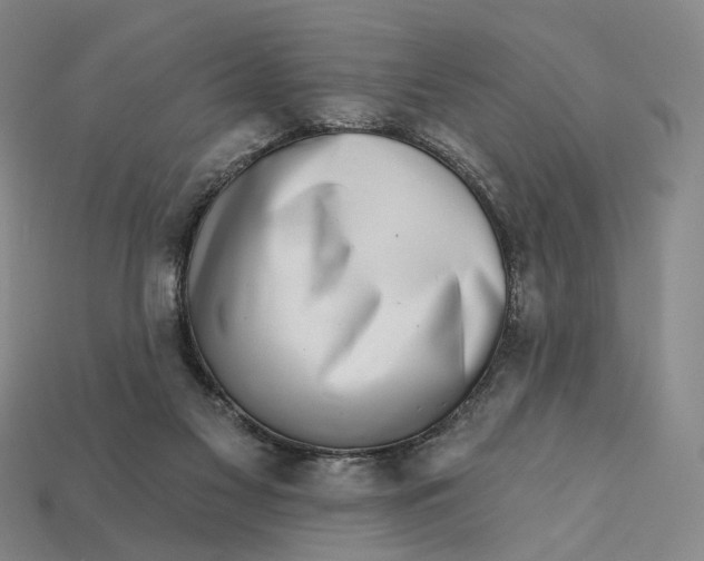 X0000112430117200909111038