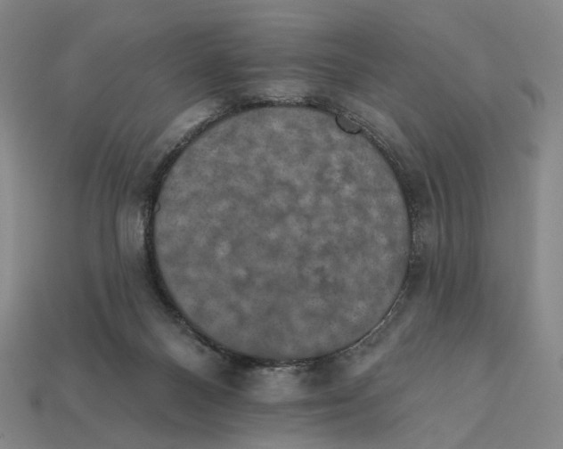X0000112430120200909111038