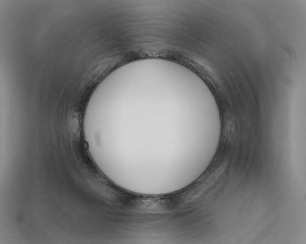 X0000112430121200909111038