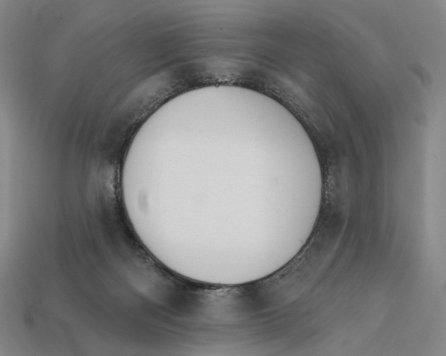 X0000112430122200909111038
