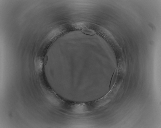 X0000112430124200909111038