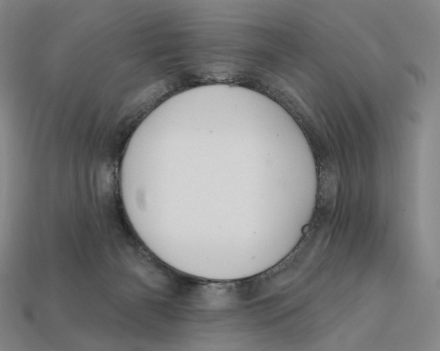 X0000112430126200909111038