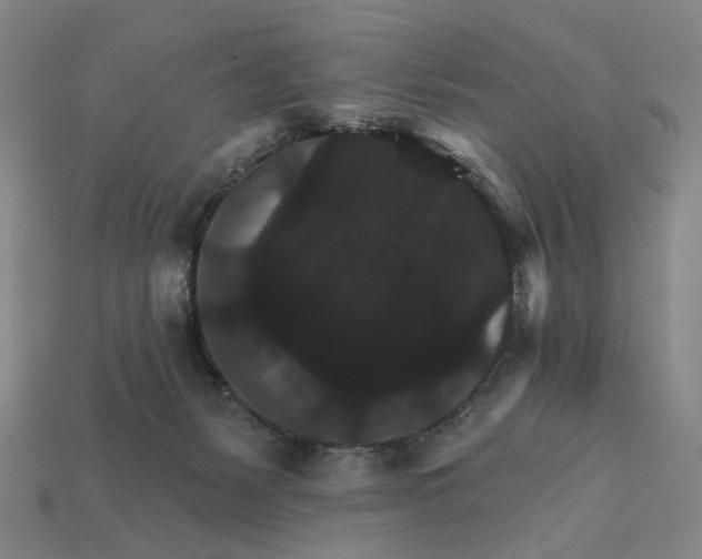 X0000112430127200909111038