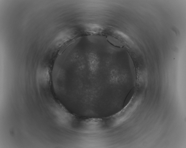X0000112430128200909111038