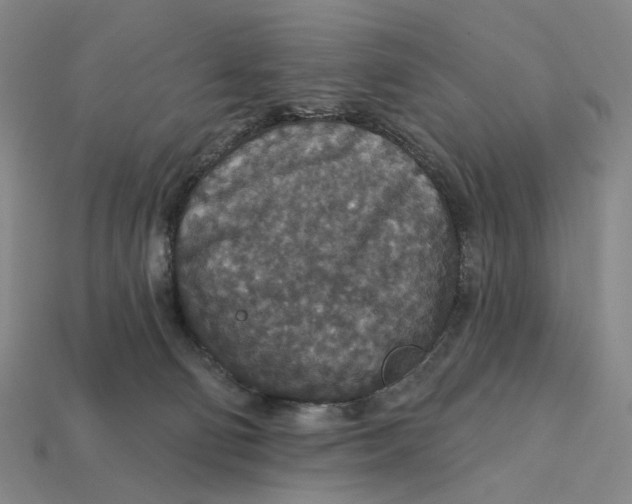 X0000112430130200909111037