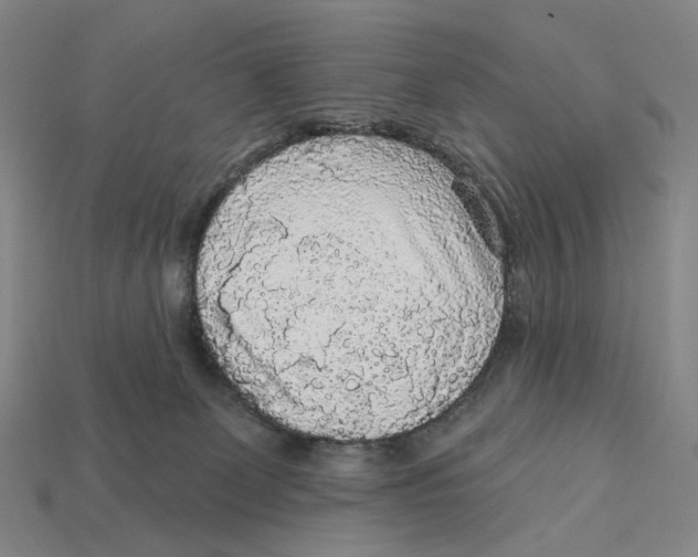X0000112430131200909111037
