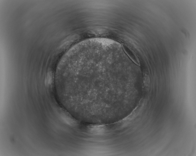 X0000112430132200909111037