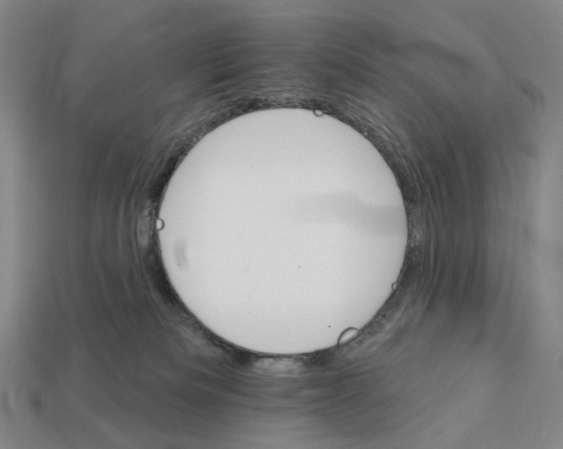 X0000112430133200909111037