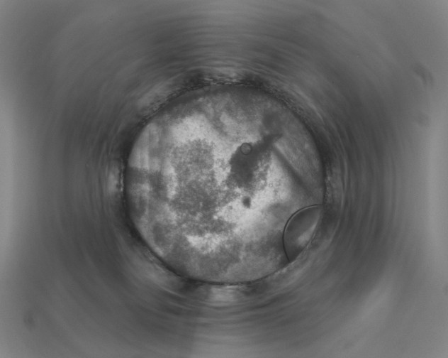X0000112430134200909111037