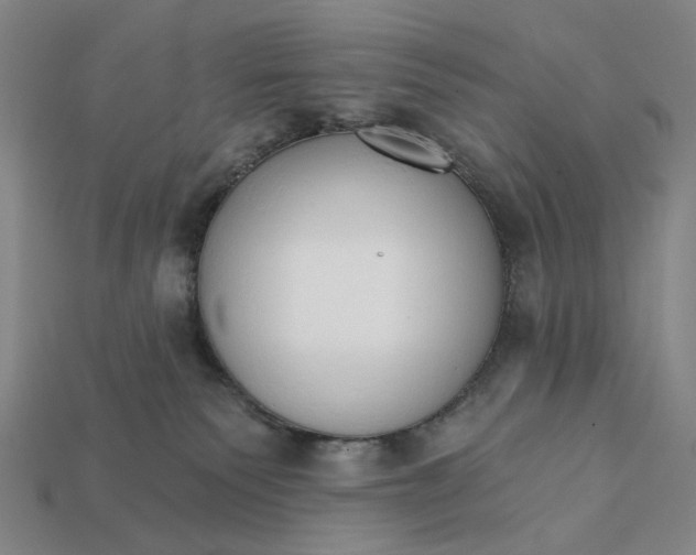 X0000112430135200909111037