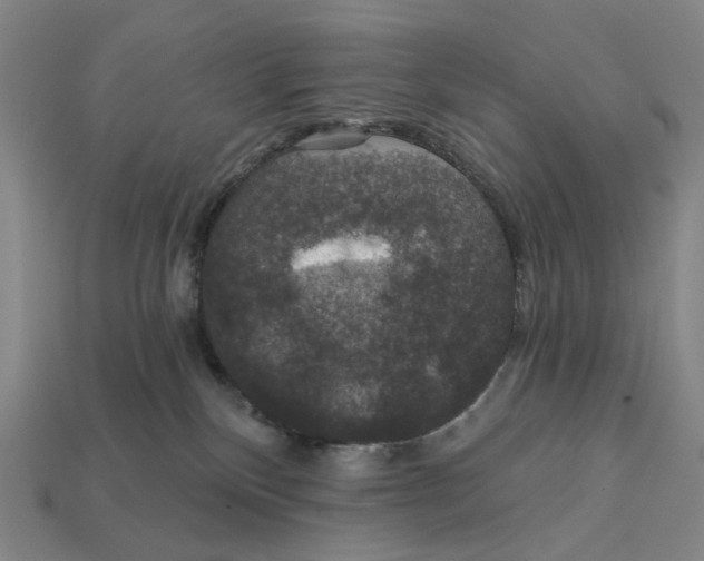 X0000112430136200909111037