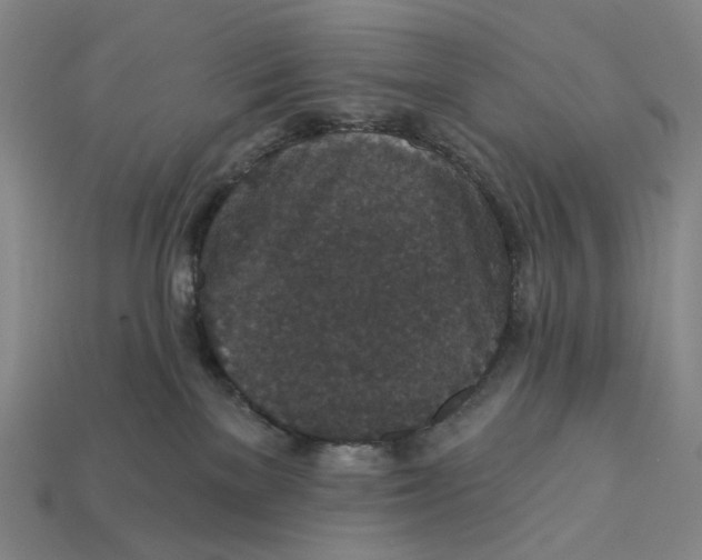 X0000112430137200909111037