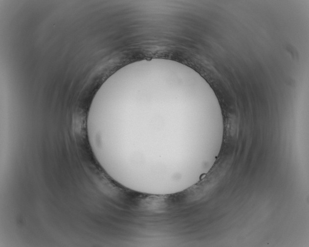 X0000112430138200909111037