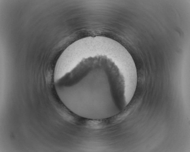 X0000112430139200909111037