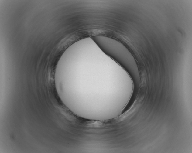 X0000112430140200909111037
