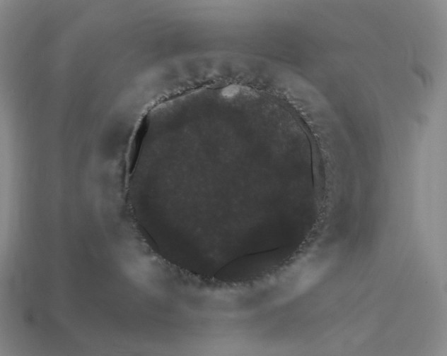 X0000112430144200909111037