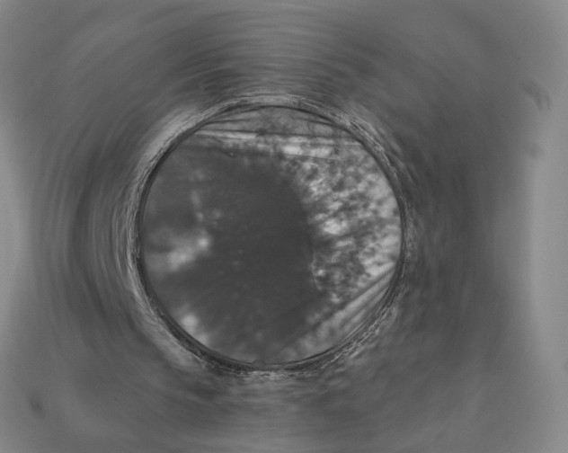 X0000112430145200909111037