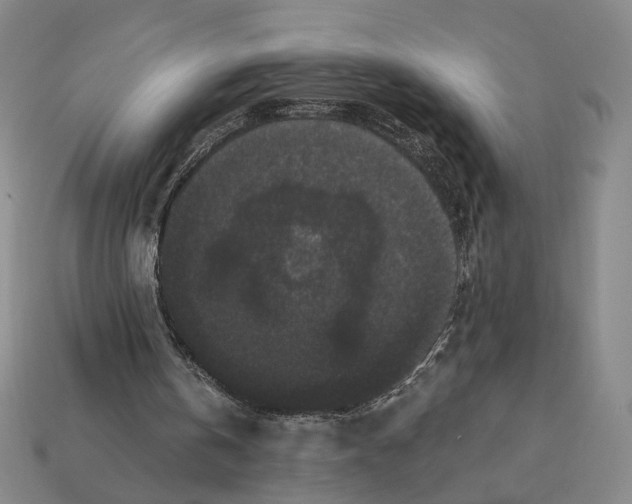 X0000112430146200909111037