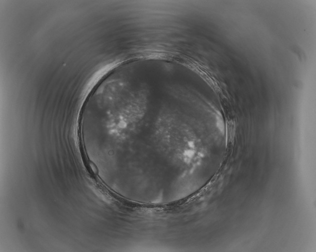X0000112430147200909111037