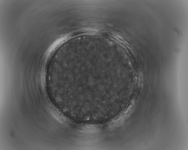 X0000112430149200909111037
