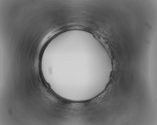 X0000112430150200909111037