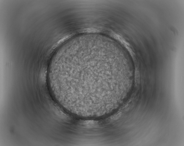 X0000112430153200909111037