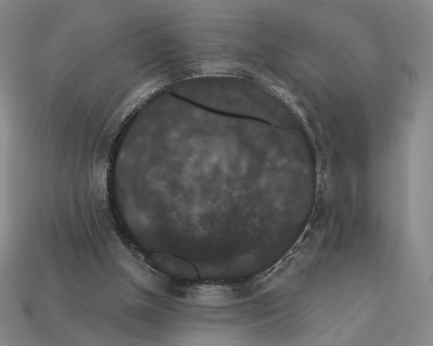 X0000112430154200909111037