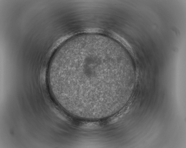 X0000112430155200909111037