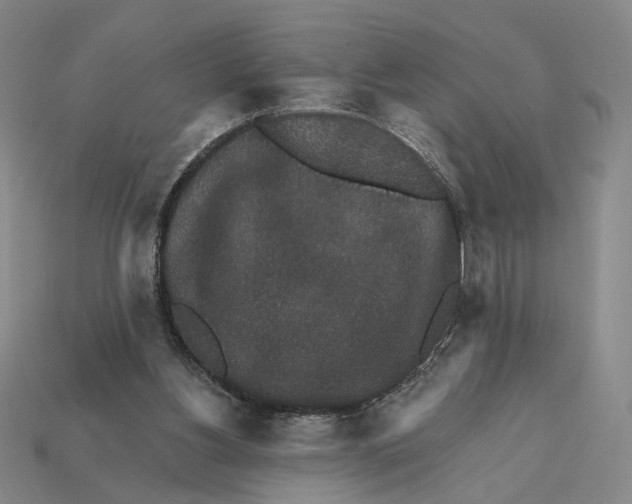 X0000112430156200909111037
