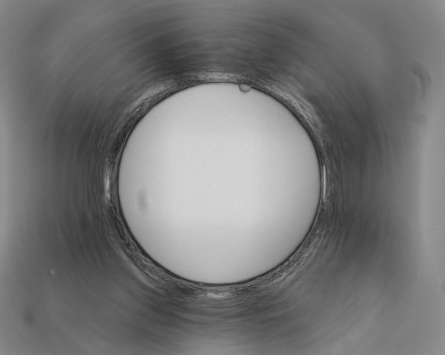 X0000112430157200909111037
