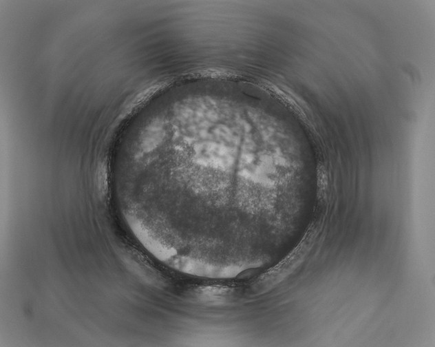 X0000112430158200909111037