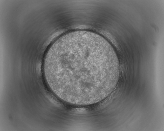 X0000112430159200909111037