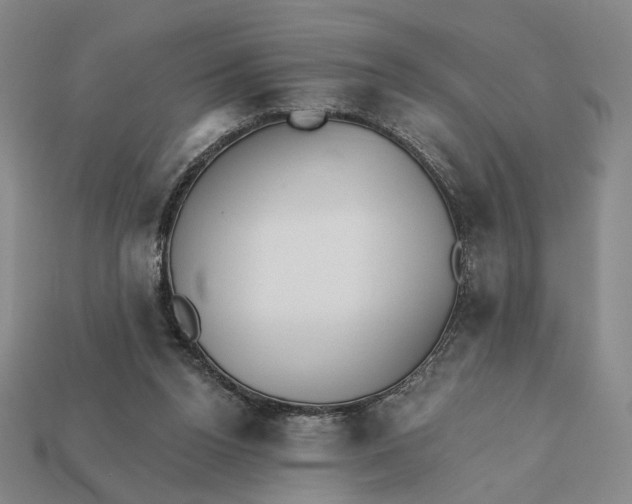 X0000112430160200909111037