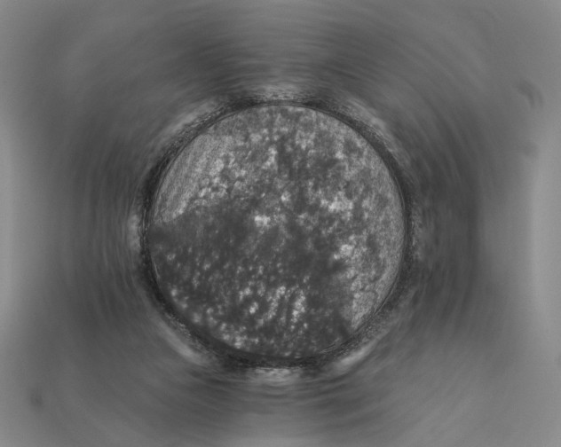 X0000112430161200909111037