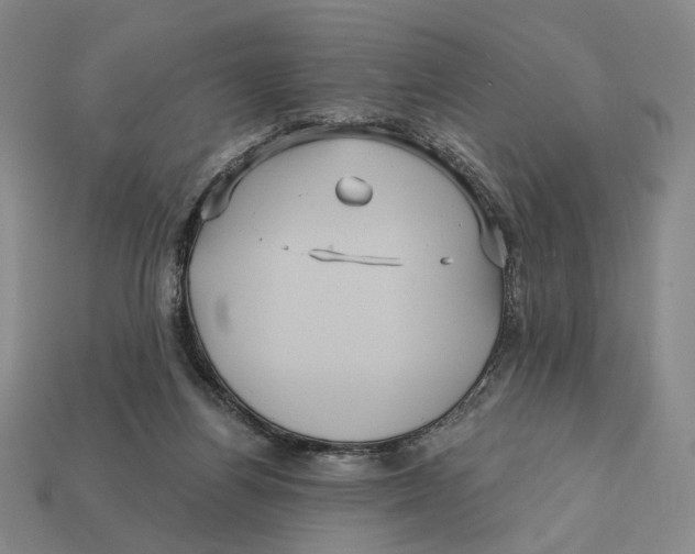 X0000112430164200909111037