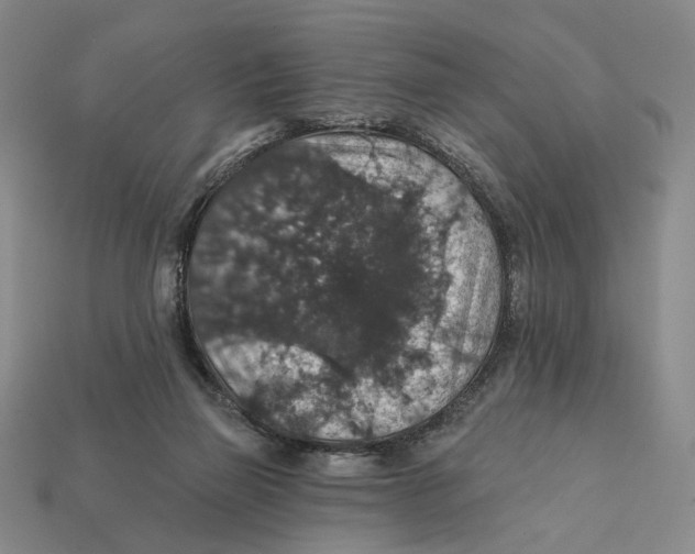 X0000112430165200909111037