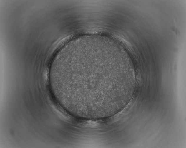 X0000112430166200909111037