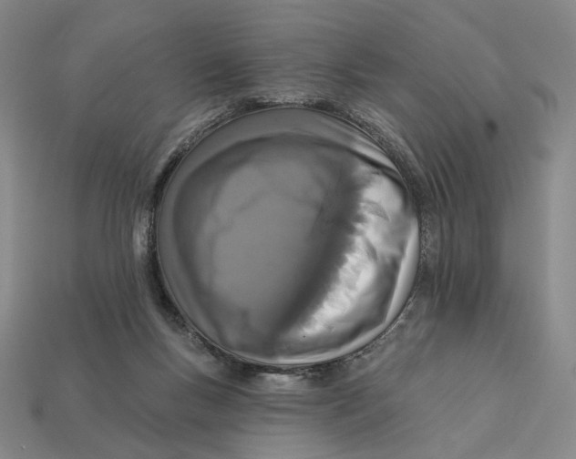 X0000112430167200909111037