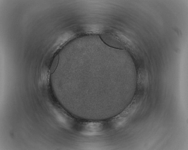 X0000112430168200909111037
