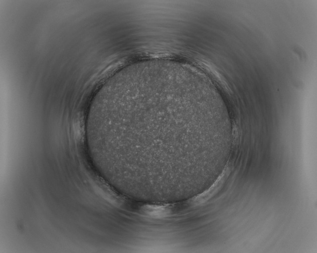 X0000112430170200909111037