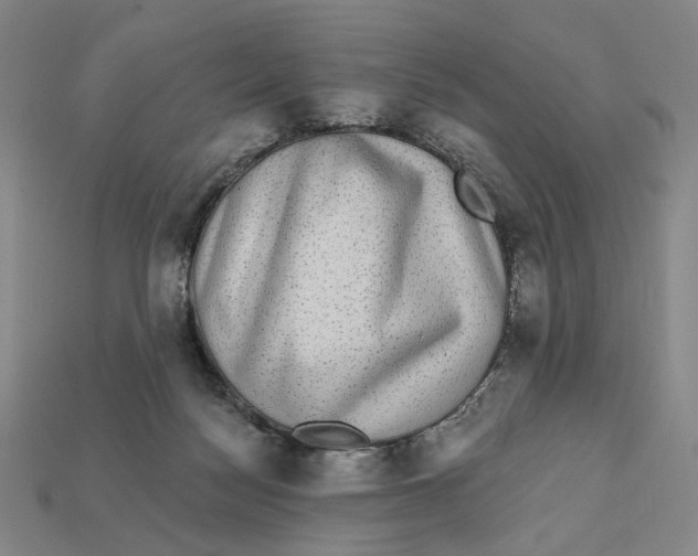 X0000112430172200909111037